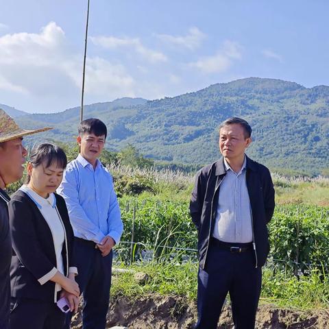 县委副书记、政法委书记李锋到邦溪镇调研产业发展和农民工欠薪工作
