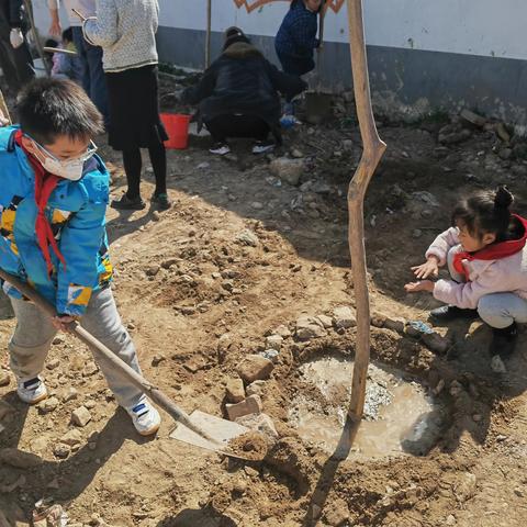 “播种绿色的希望，收获绿色的未来”——徐州市荆山小学“趣”植树亲子活动