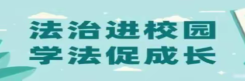 法治宣传进校园，护航青春助成长