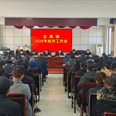 凝心聚力绘蓝图，奋楫扬帆谱新篇 龙高镇召开2025年经济工作会议