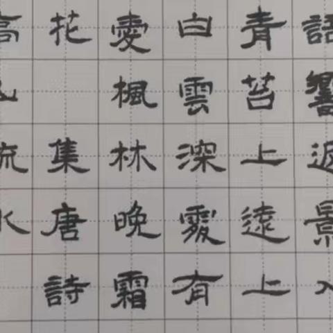 “我是小小书法家”---家庭作业欣赏