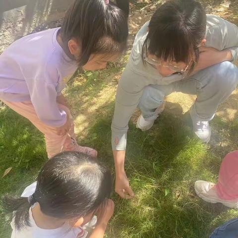 养热爱劳动的习惯成自律自主的人——观十三幼“除草记”