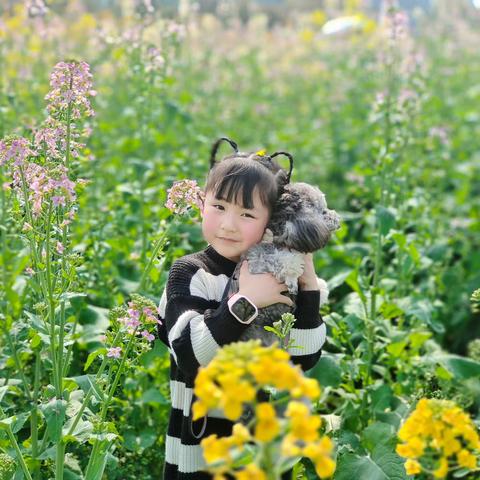 我和油菜花有个约会