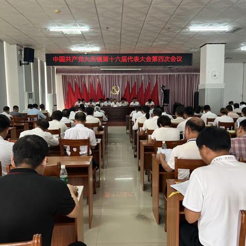 踔厉奋发启新程 笃行不怠建新功——中国共产党九所镇第十六届代表大会第四次会议胜利召开