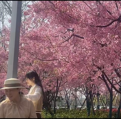 2023年春季花🌹开