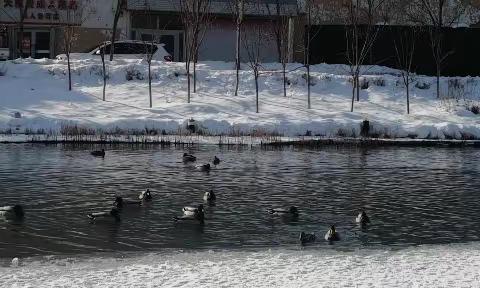 2023年正月十五的公园河