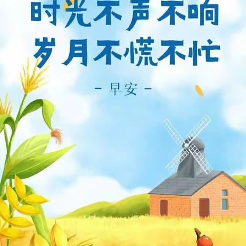 我们一起快乐长大——芽芽一班第九周精彩回顾