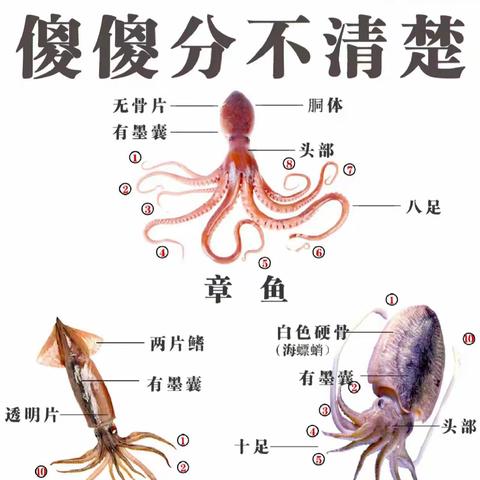 回一国画社团第七课、第八课