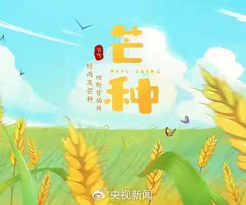 “忙”有所获，种有所得——榆次区第十四幼儿园芒种节气主题活动