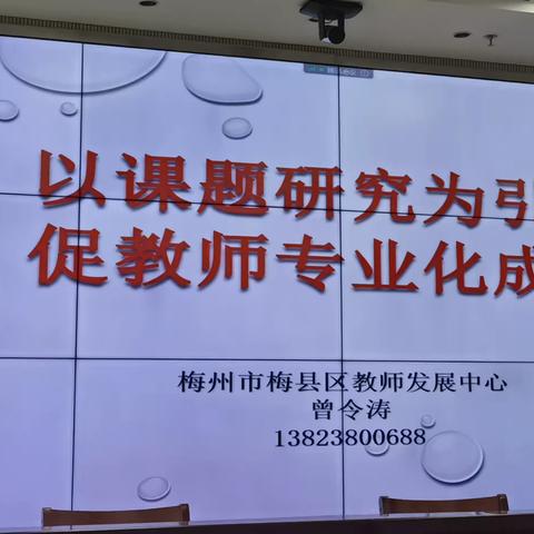 课题引领助出道 前路漫漫亦灿灿