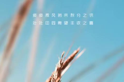 【主题班会】 学习“ 心 ”动力 涪陵城七校教育集团白鹤梁校区三（17）中队