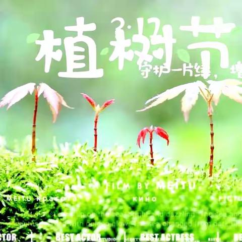 3.12植树节2204班