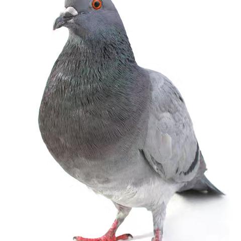 生命的课堂.纪实