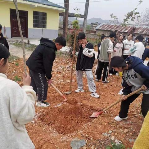 学习雷锋“植”我心中