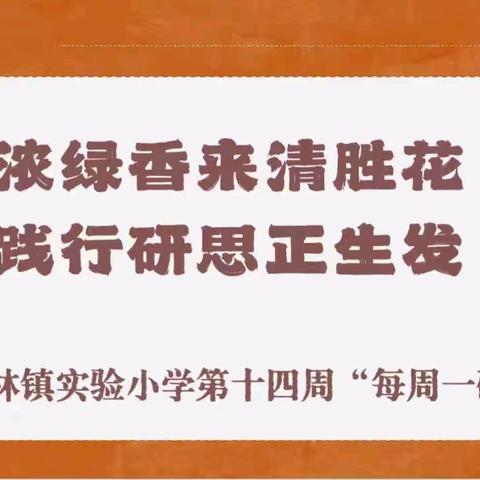 【榕研助长】浓绿香来清胜花  践行研思正生发-翰林镇实验小学第十四周“每周一研”