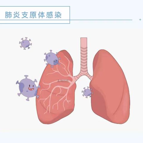 石门县维新镇渡水完全小学 冬春季传染病预防小贴士