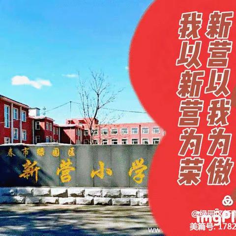 聚焦课标促提升 锤炼师能助成长——新营小学青年教师课堂教学大比武活动