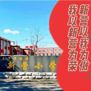 撷听评共研之芳华，绘聚力赋能新画卷——新营小学教研活动纪实