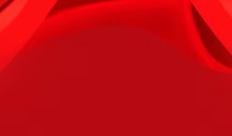 【实小·少代会】听党话  跟党走 争做新时代好队员——桂平市逸夫实验小学第四次少代会