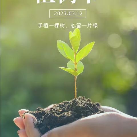 “植树节我们在行动”——东方明珠幼儿园植树节活动