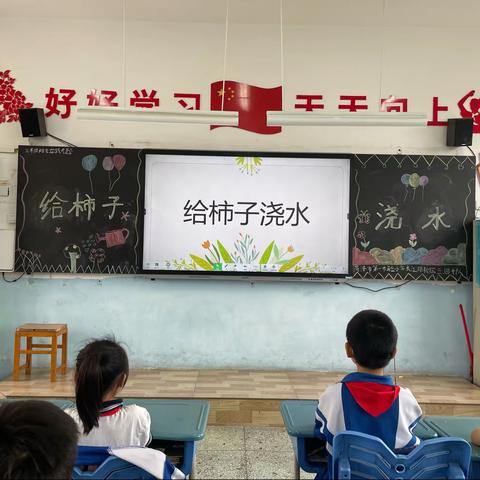 给柿子树浇水——菏泽市第一实验小学长江路三年级数学综合实践活动