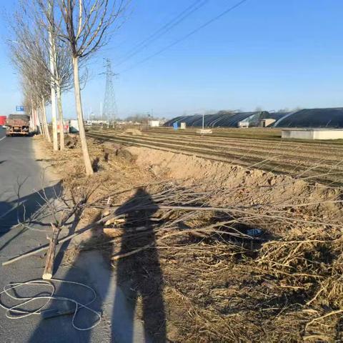 南乐公路事业发展中心积极筑牢大风天气公路安全堡垒