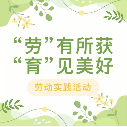 “劳”有所获  “育”见美好——五（6）班劳动实践活动纪实