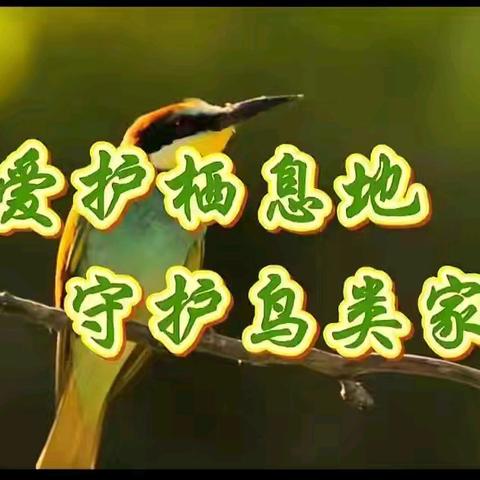 高陵教育系统开展“珍爱野生动物·争做爱鸟护鸟小卫士”主题教育实践活动