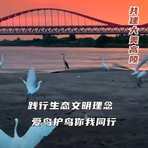 爱鸟护鸟在行动·泾渭分明展才情//高陵区开展“珍爱野生动物·争做爱鸟护鸟小卫士”现场展示活动