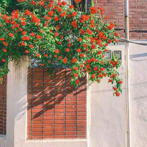 盆底肌练了个寂寞？