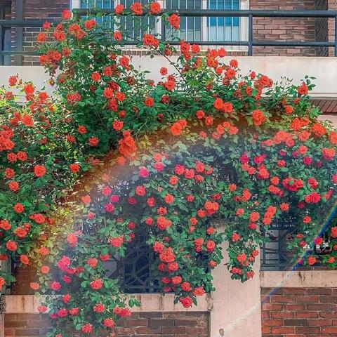 你的盆底肌还好吗？