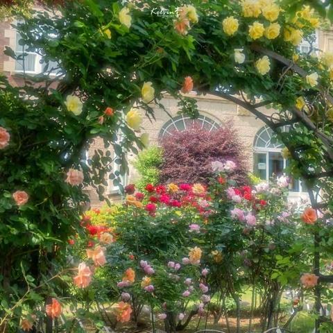 产后不要急着减肥，盆底肌修复更重要