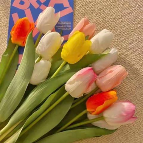 如何科学训练盆底肌