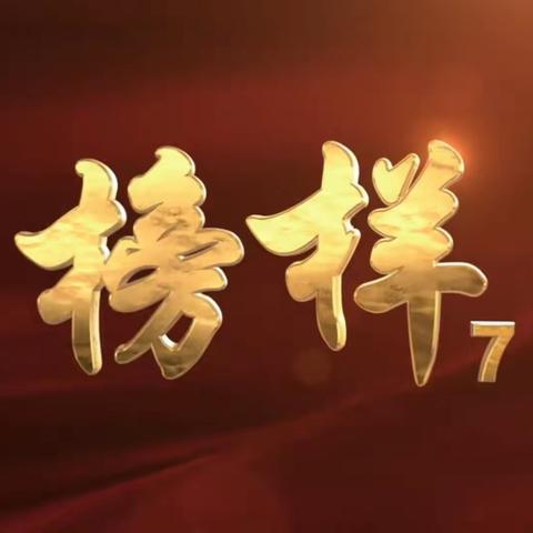 城关村党员观看CCTV1《榜样7》节目