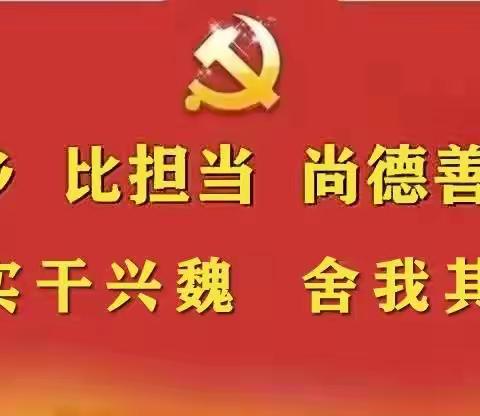【实干兴魏，舍我其谁】棘针寨镇：环境整治不停歇，和美乡村展新颜