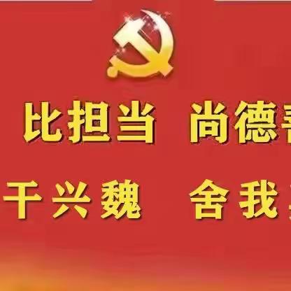 【实干兴魏，舍我其谁】棘针寨镇：医保宣传进万家，惠民政策零距离