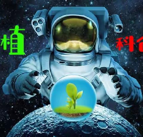 种植太空种子，筑就太空梦想