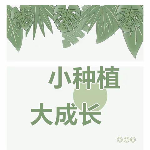 小班《种大蒜》案例分析