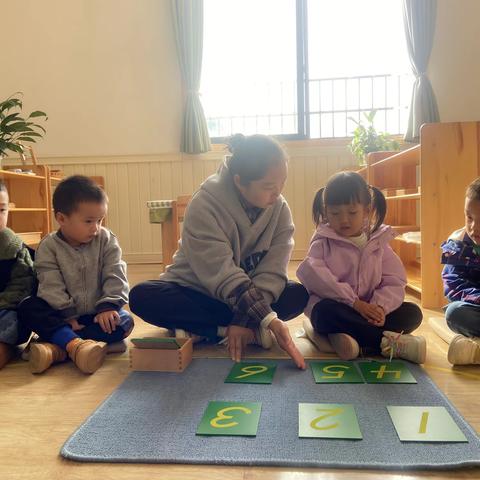 清外附属金桂子幼儿园——家长体验活动邀请函