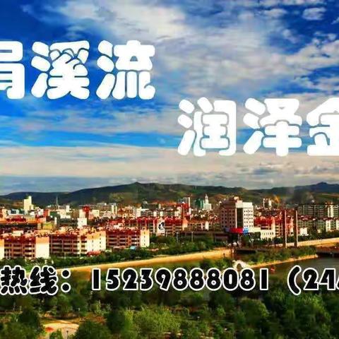 信息公开供水管网压力监测—2024年10月