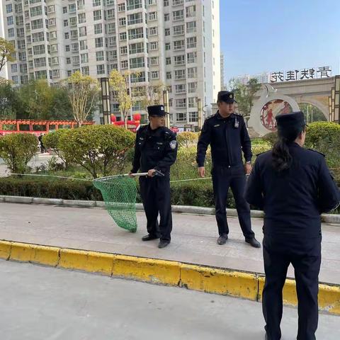 八一街道路办事处执法中队的文章