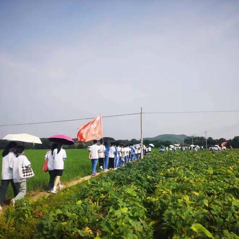 “踏遍青山绿水，炊出青春宴席”——江华三中野炊活动