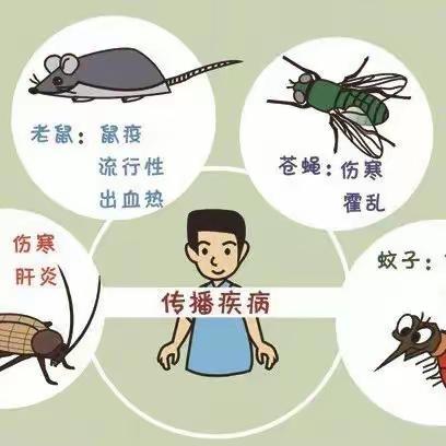 【卫生保健】除四害 护健康——潮州市绵德幼儿园病媒生物防治知识宣传