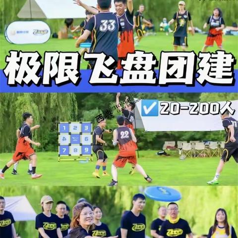 "盘不落地，永不放弃"——飞盘运动