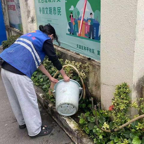 和平社区开展病媒生物防制“灭四害”专项行动