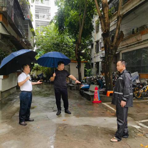 和平社区开展“派比安”台风防风防汛巡查工作