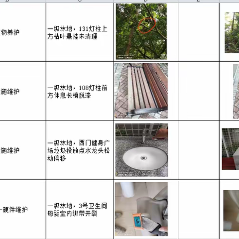 深圳湾皇岗公园（皇岗公园片区）2023年10月3日随机检整改汇报