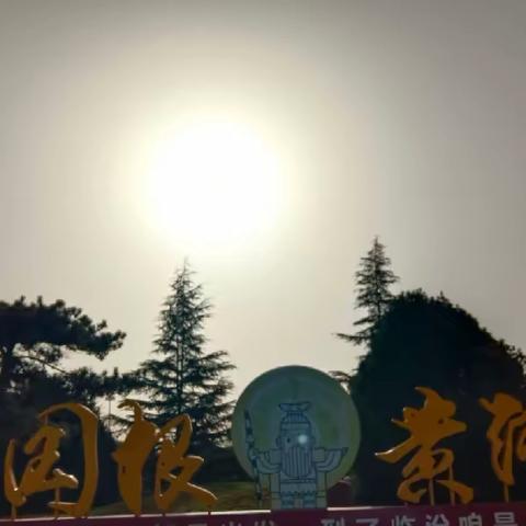 热爱生活，公园踏青赏景