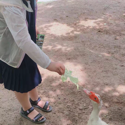 阎庄街道中心小学：学生暑假优秀作文展