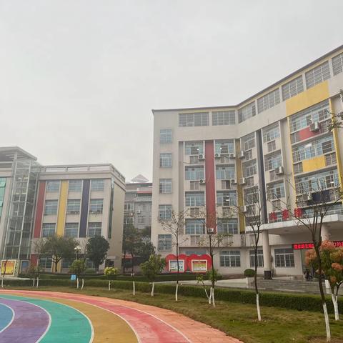 携手共植春光，点缀多彩童年 --旺瑶小学1902班为玉林市儿童福利院播种希望